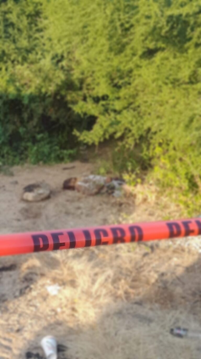 WhatsApp Image 2025-11-23 at 12.38.44 PM