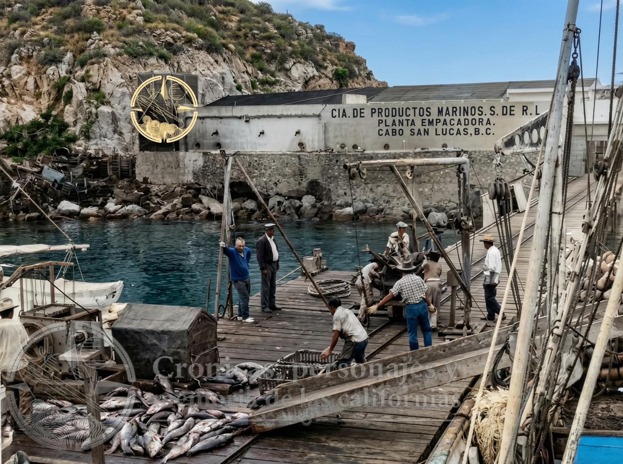 FB_IMG_1766341778931