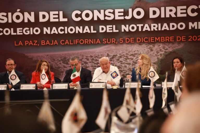 WhatsApp Image 2025-12-05 at 1.43.43 PM (1)