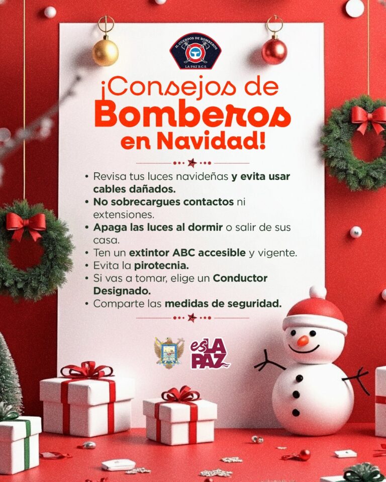 WhatsApp Image 2025-12-16 at 2.07.00 PM