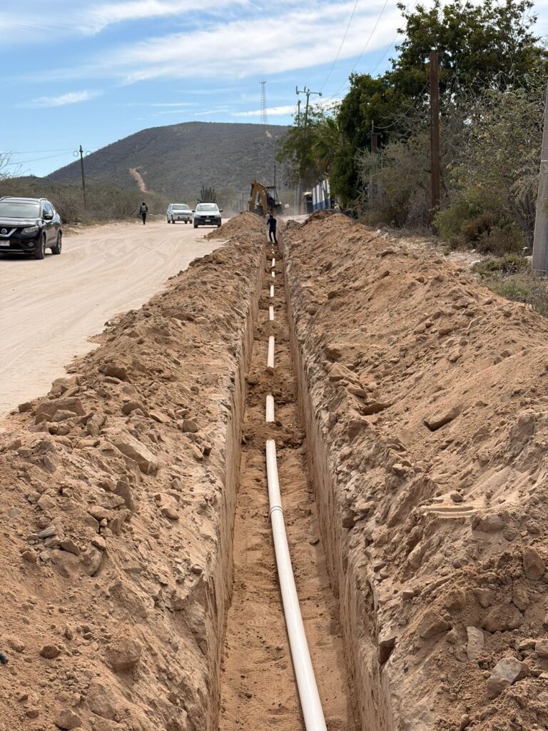 WhatsApp Image 2026-02-04 at 2.22.14 PM