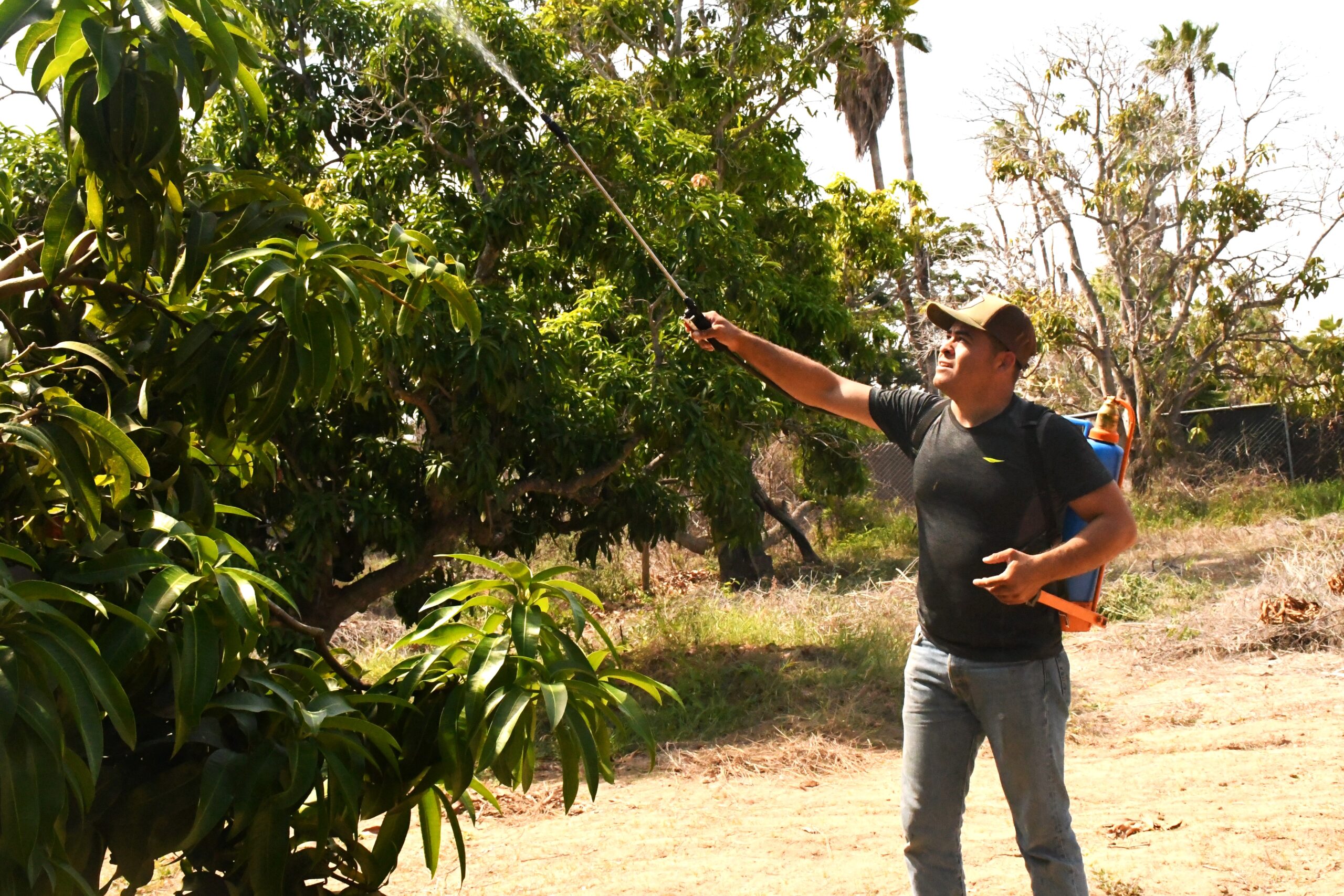 FOTO BOLETÍN SEPADA-REFUERZAN
