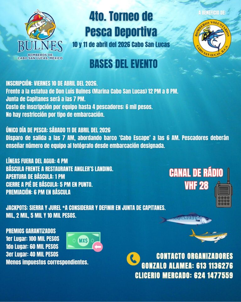 IMG-20260401-WA0164(1)