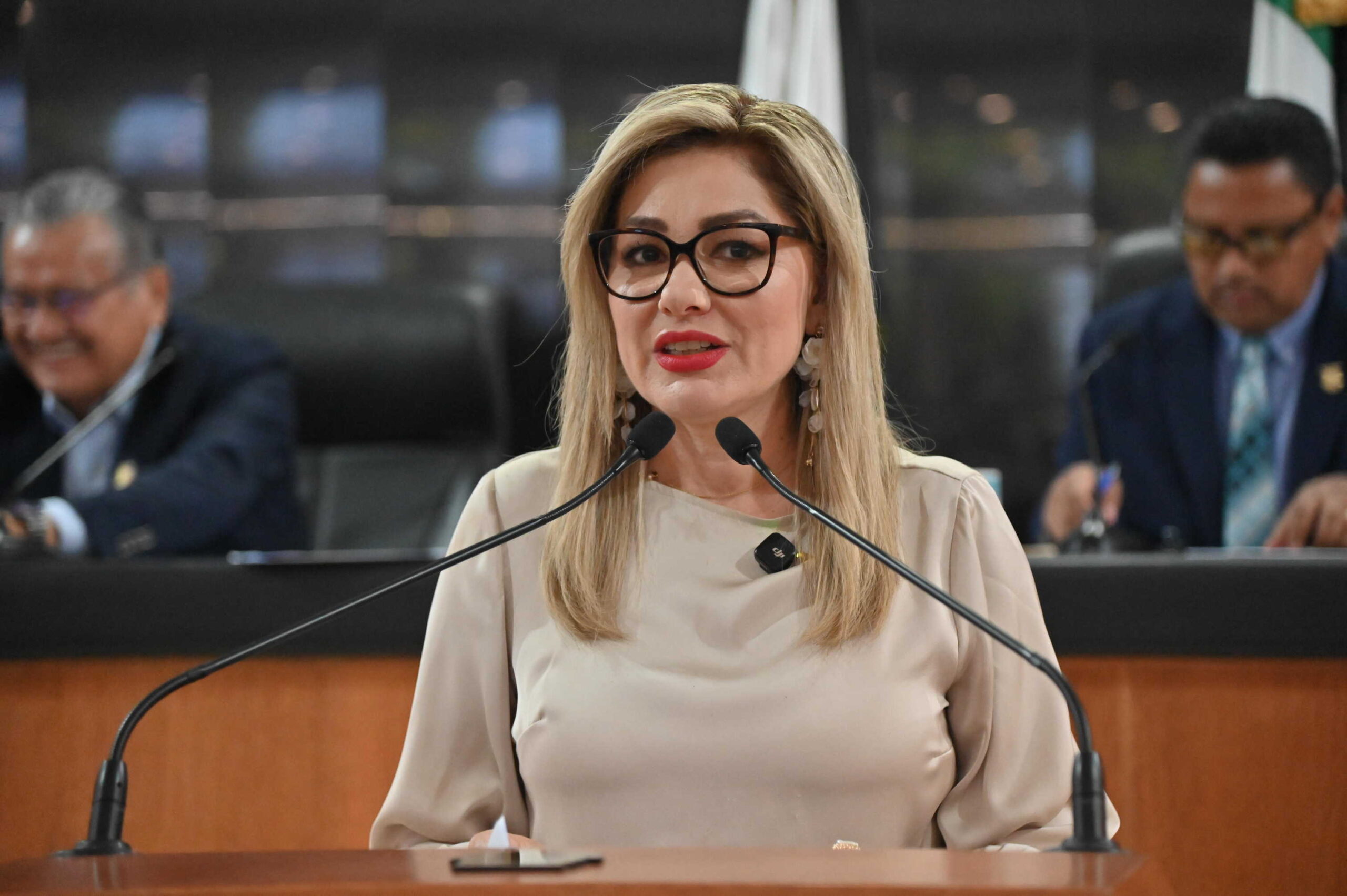 DIP KARINA OLIVAS PARRA INICIADOR 260514 3