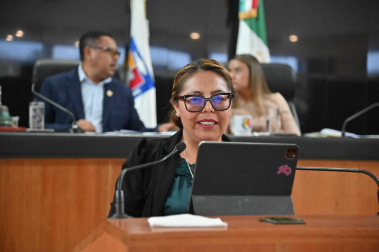 DIP TERESITA VALENTÍN VAZQUEZ 260505 3