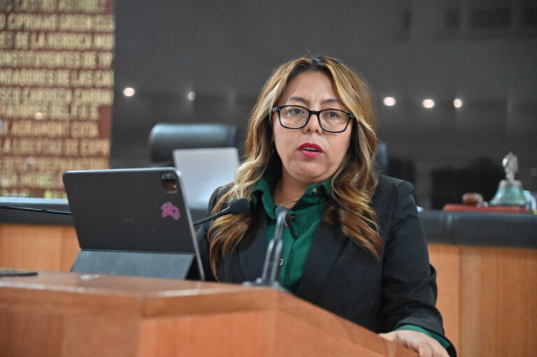 DIP TERESITA VALENTÍN VAZQUEZ 260512 4
