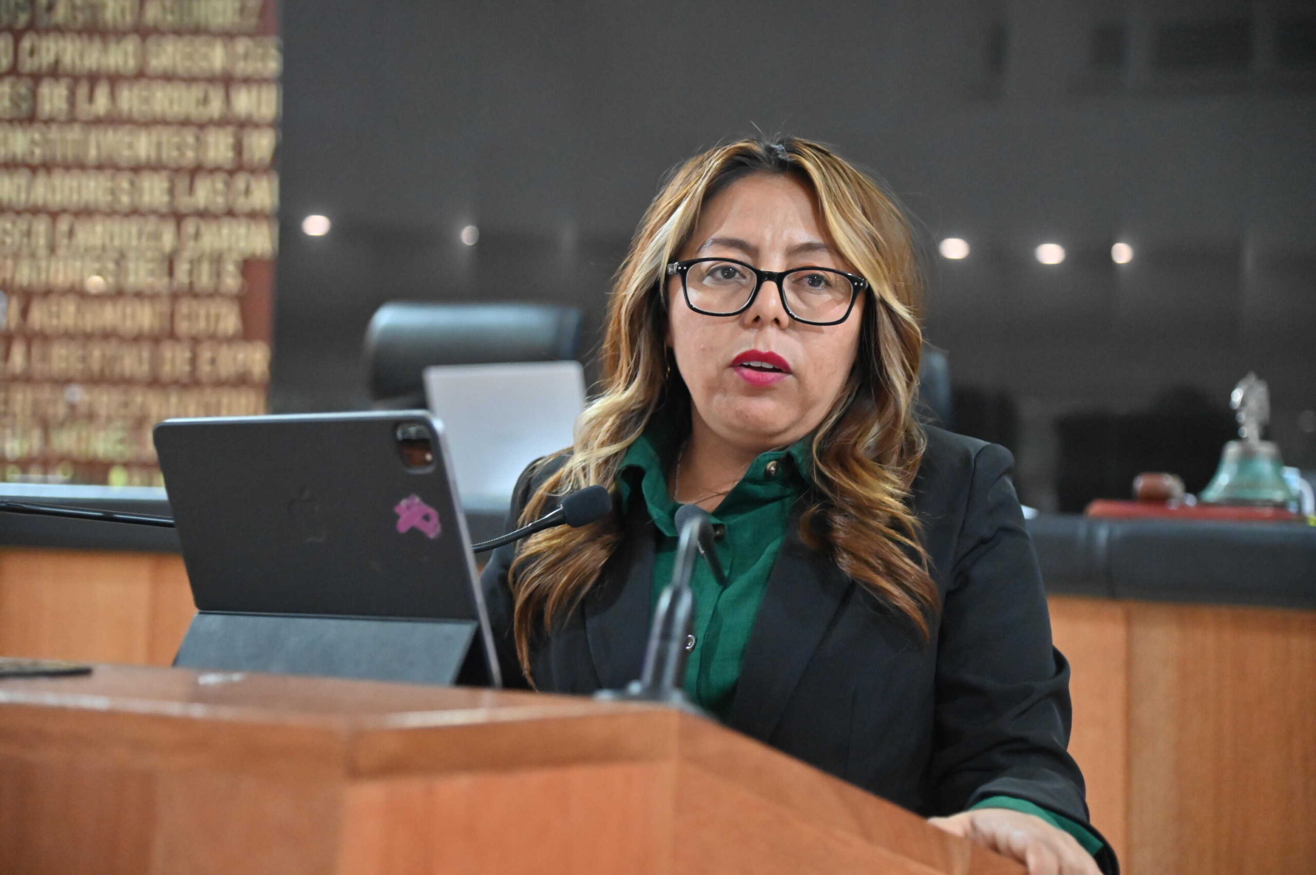 DIP TERESITA VALENTÍN VAZQUEZ 260512 4