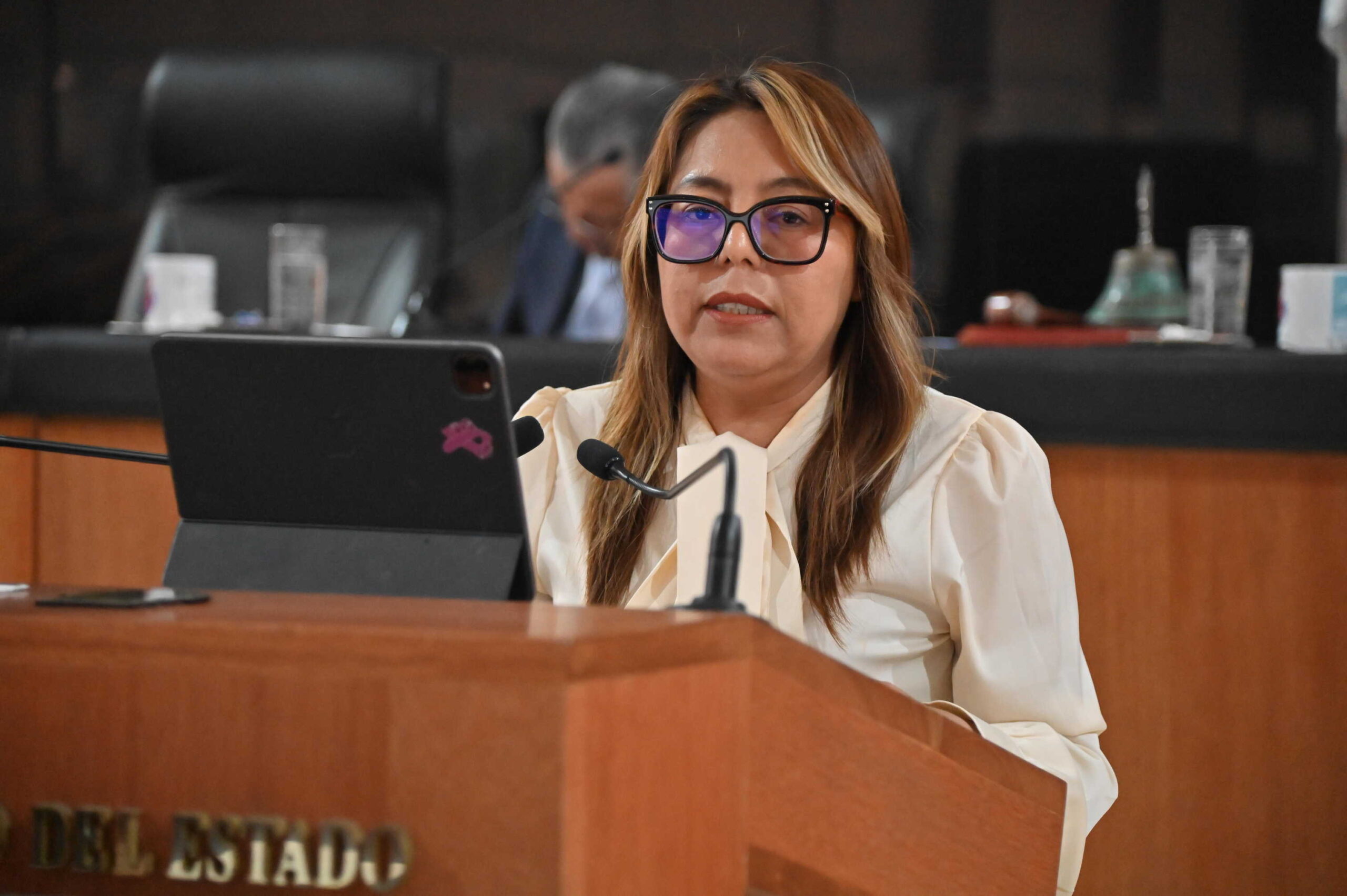 DIP TERESITA VALENTIN VAZQUEZ 260514 4