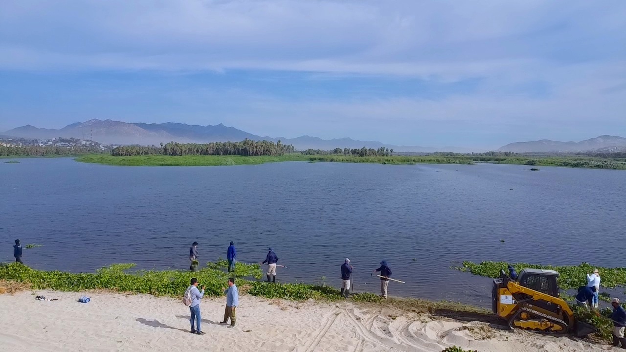 ECOLOGÍA LIMPIEZA ESTERO JOSEFINO 1