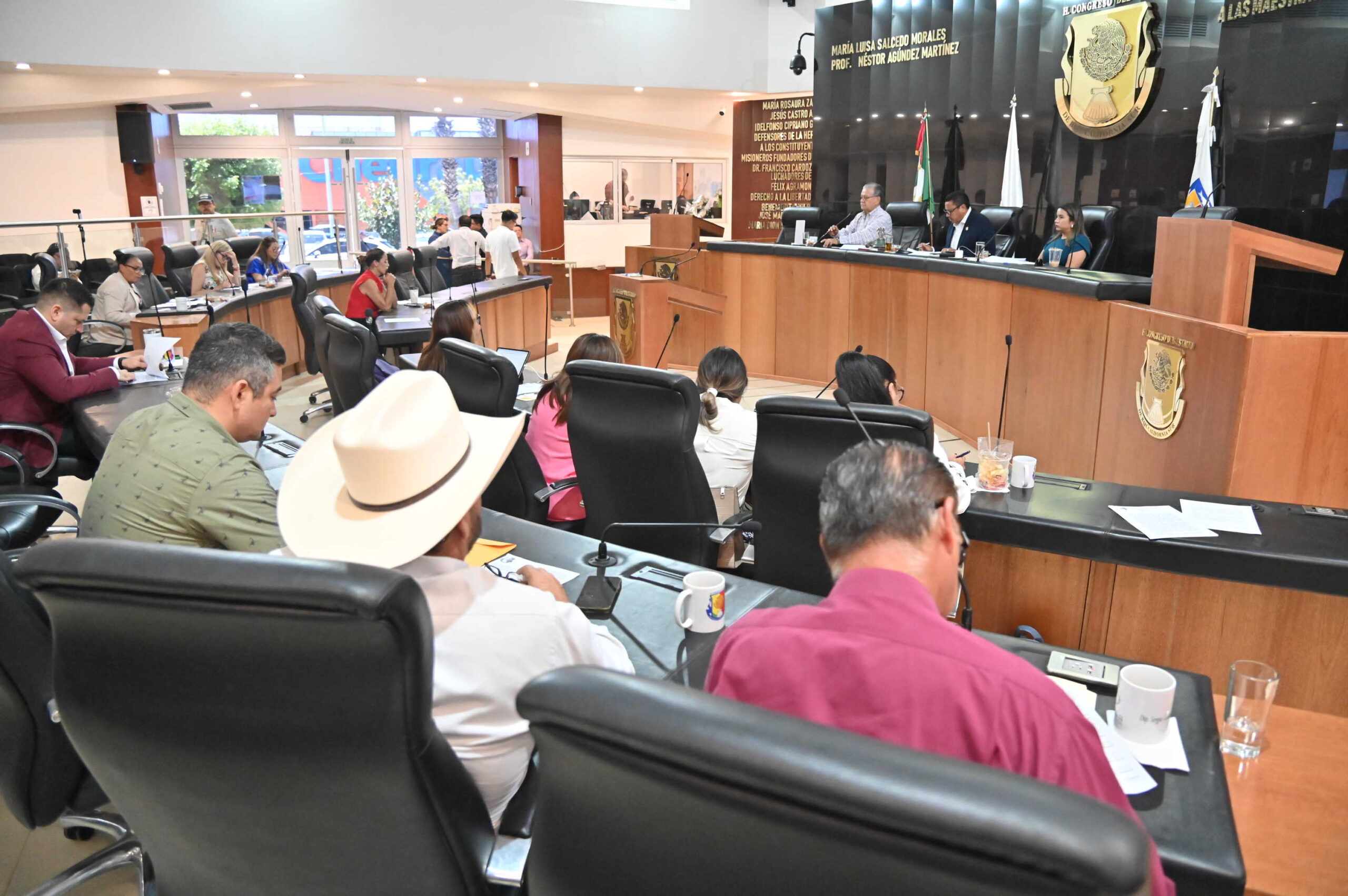 PLENO 260604 1