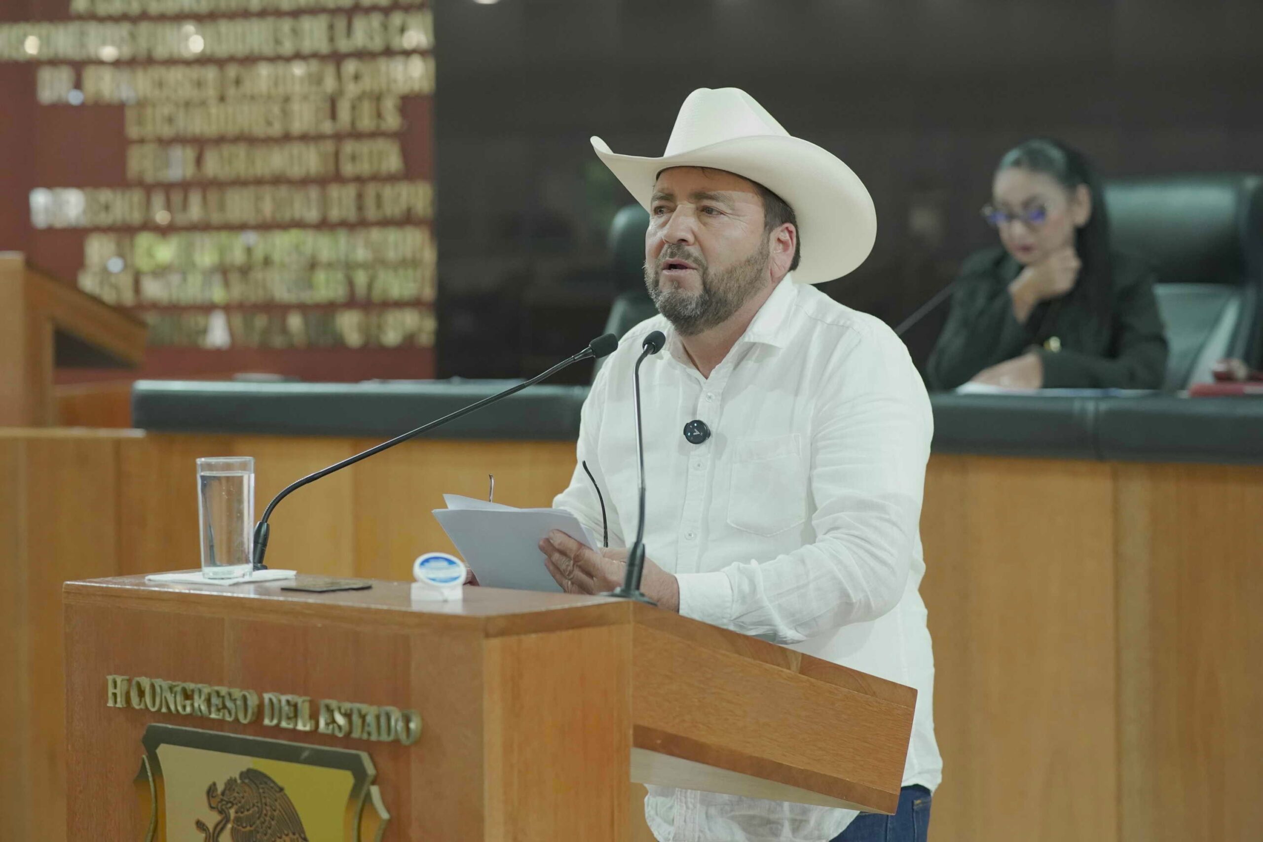 DIP VENUSTIANO PEREZ SANCHEZ 260714 3