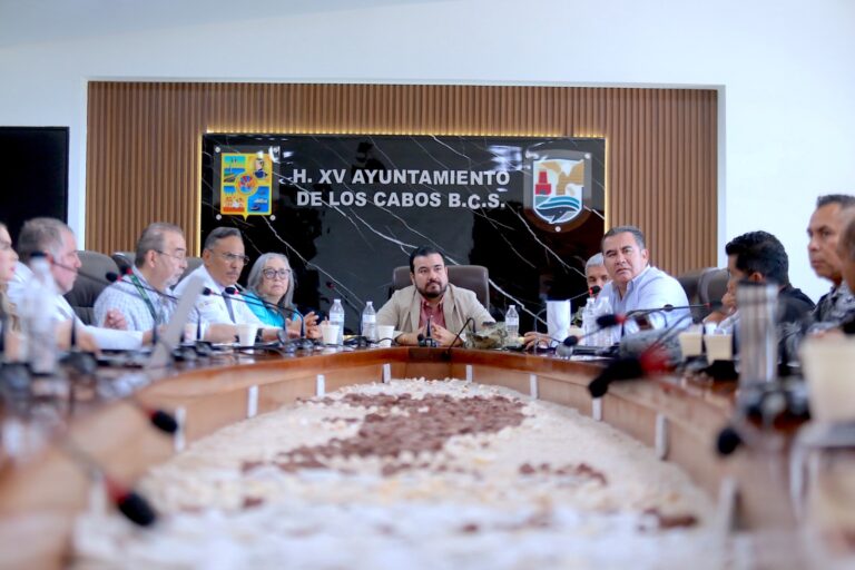 MESA SEGURIDAD COORDINACIÓN SECTOR SALUD 1