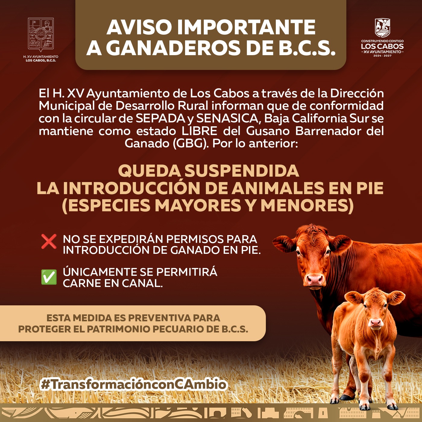 SUSPENSIÓN INGRESO GANADO EN PIE PREVENCIÓN