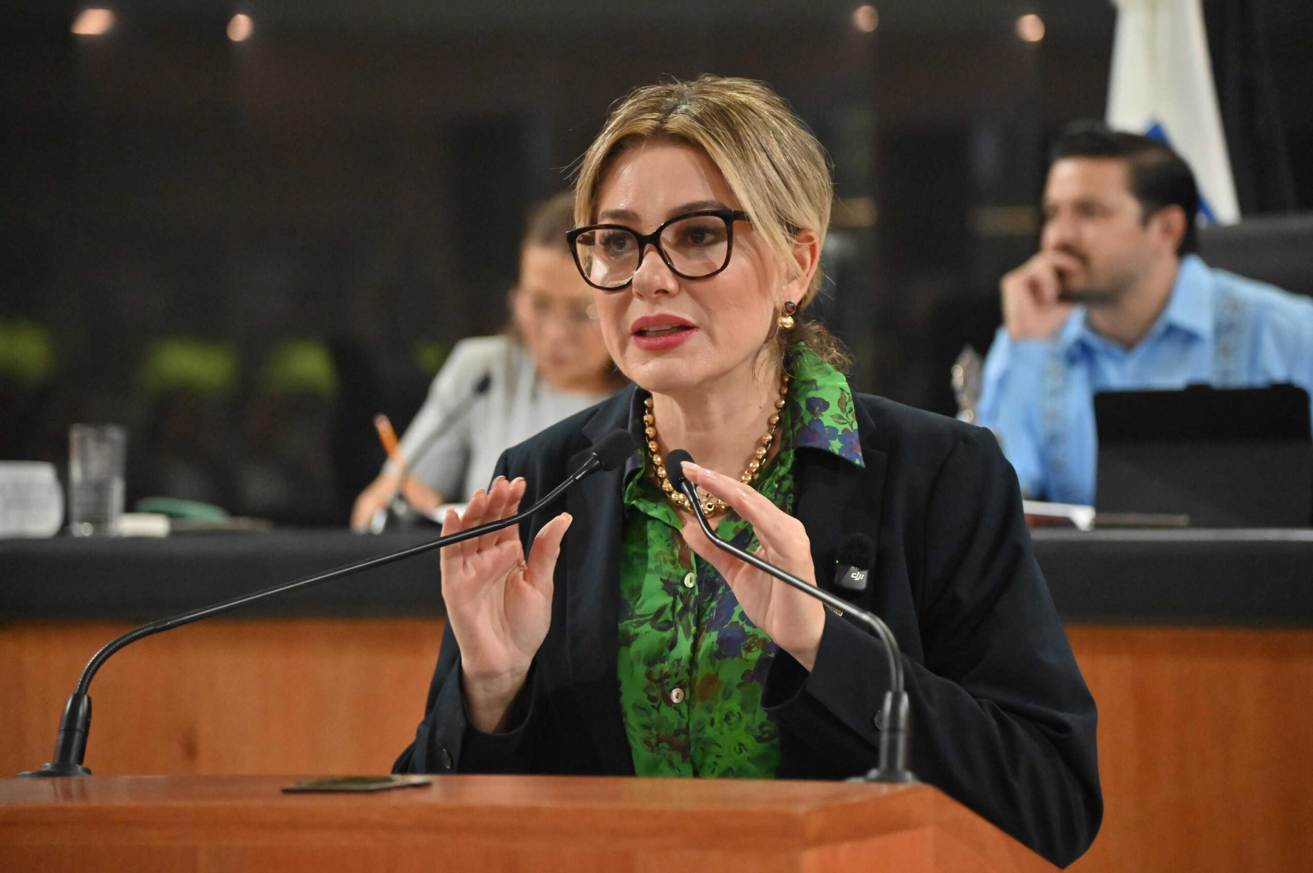 DIP KARINA OLIVAS PARRA 260924 2