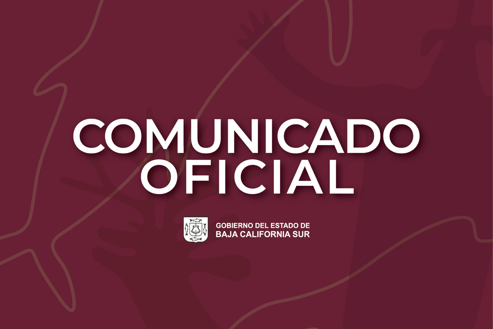 FOTO BOLETÍN 0254- CONSEJO PROTECCIÓN CIVIL