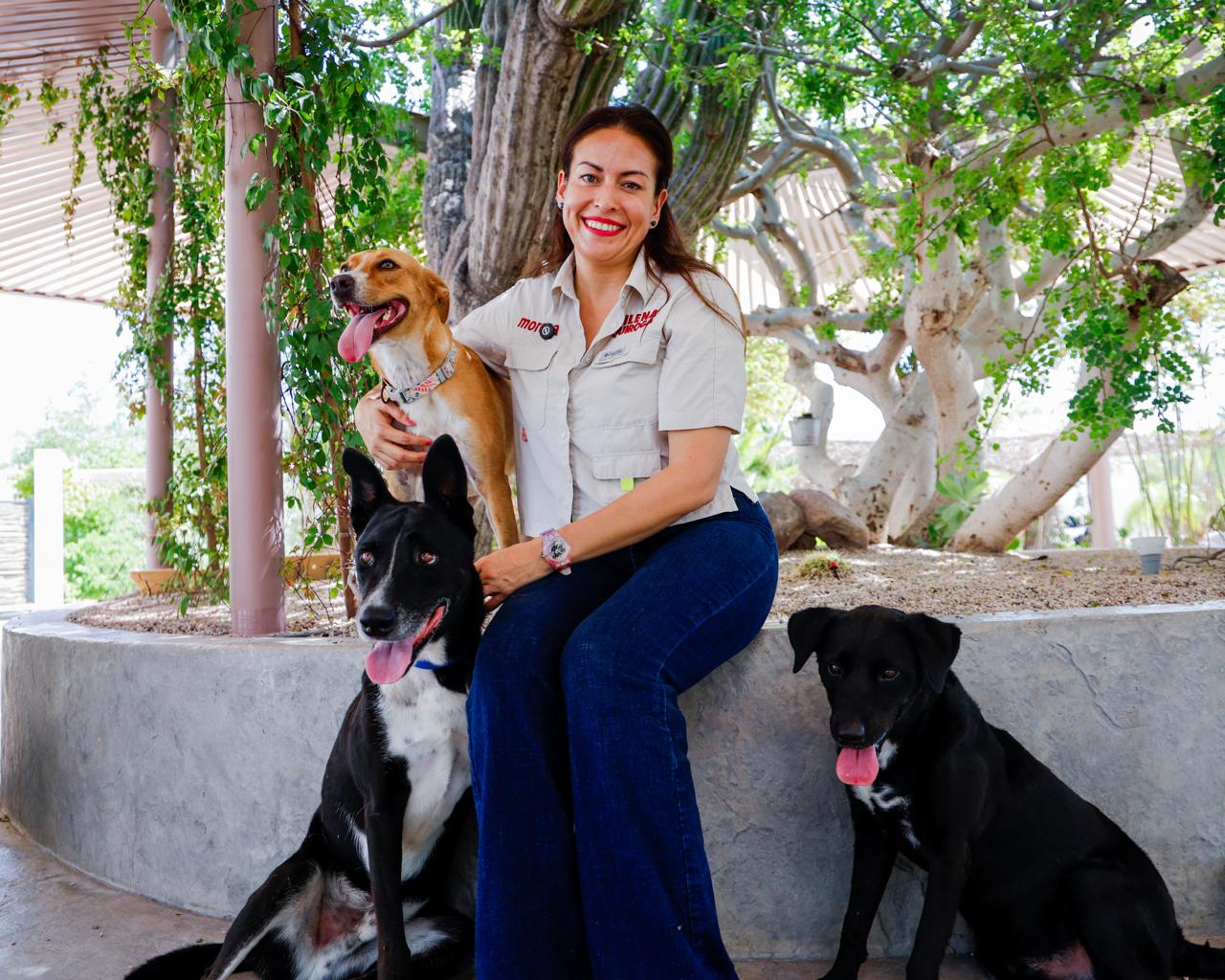 MQ - Protección Animales F1