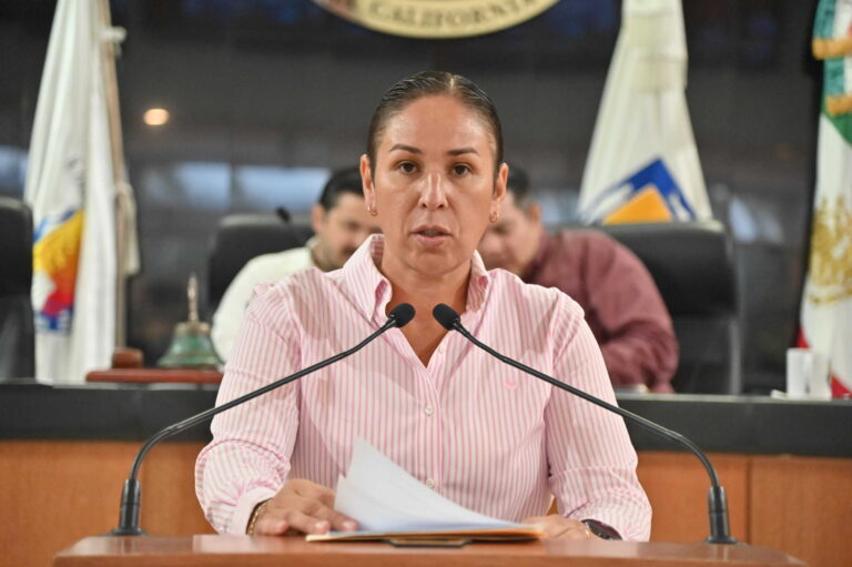 DIP ALONDRA TORRES GARCIA 261006 3