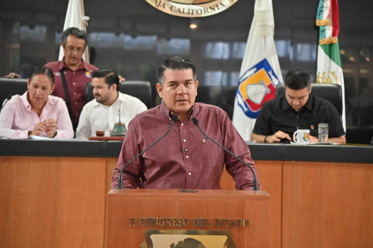 DIP FABRIZIO DEL CASTILLO MIRANDA 261006 2