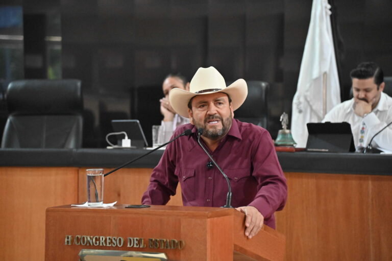 DIP VENUSTIANO PEREZ SANCHEZ 261013 2