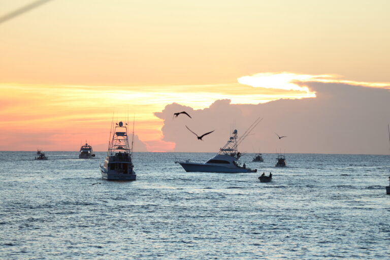 DISPARO TORNEO PESCA LOS CABOS OFFSHORE 7.JPG