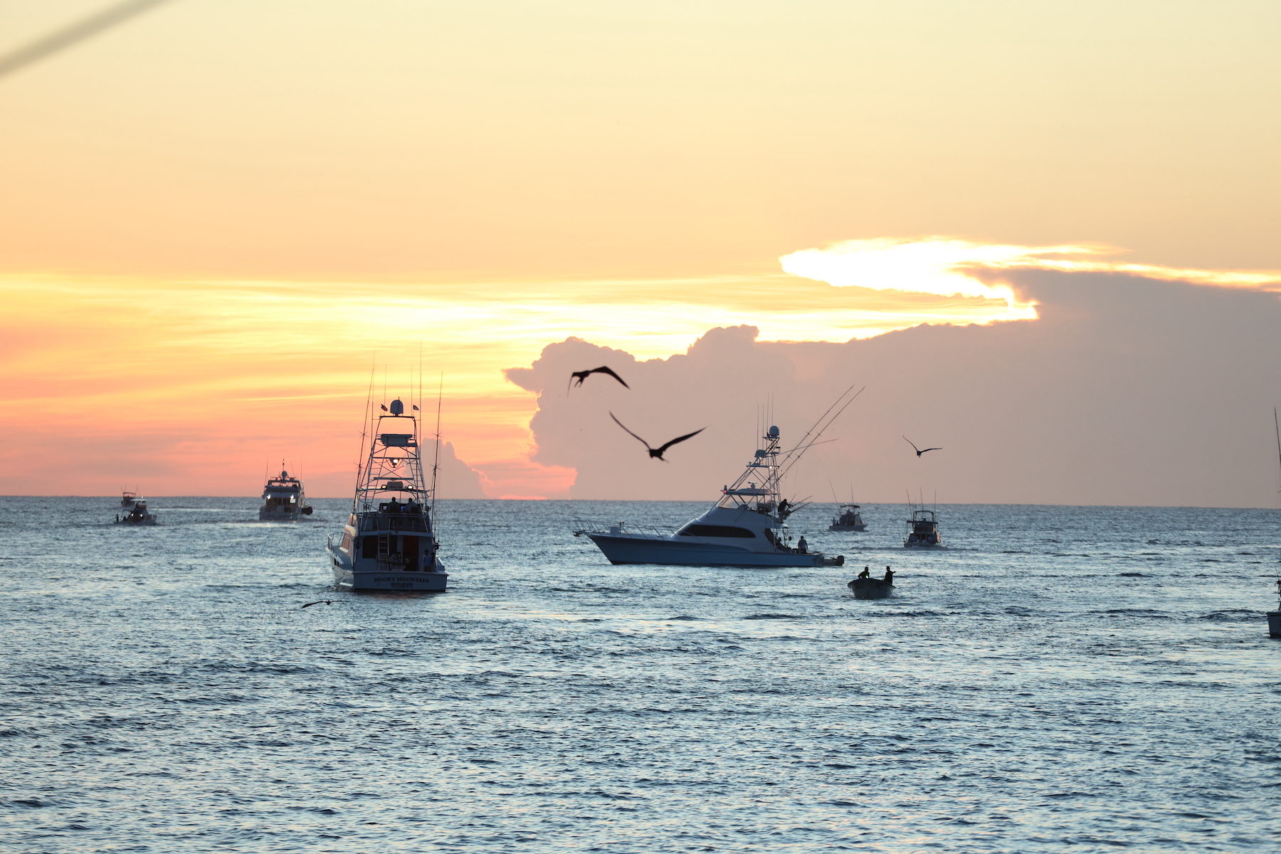 DISPARO TORNEO PESCA LOS CABOS OFFSHORE 7.JPG