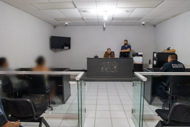 SEGURIDAD PÚBLICA RESGUARDO PERSONA 1